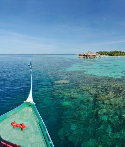 ayada-maldives-house-reef